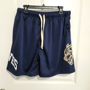 Darc Sport Blue Mesh Shorts